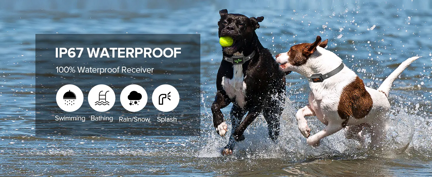 Ycoev Smart Dog Training Collar