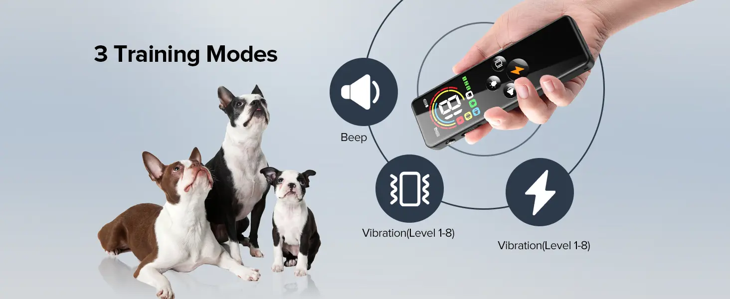 Ycoev Smart Dog Training Collar